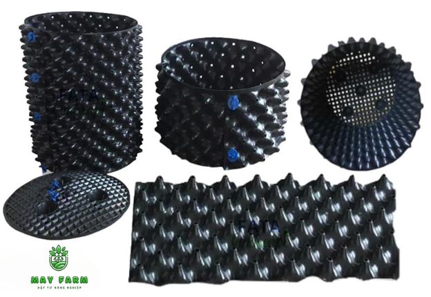 Tiêu chí chọn bầu ươm cây loại to - thiết kế lỗ thoát & độ dày chuẩn