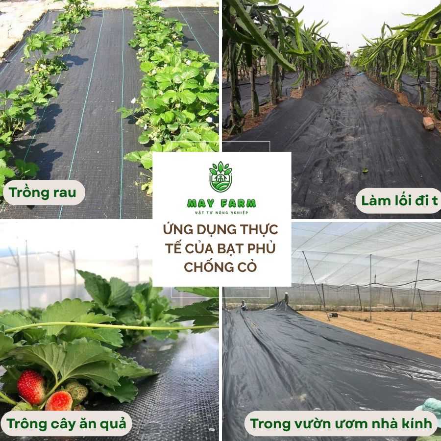 Ứng dụng thực tế của bạt phủ chống cỏ