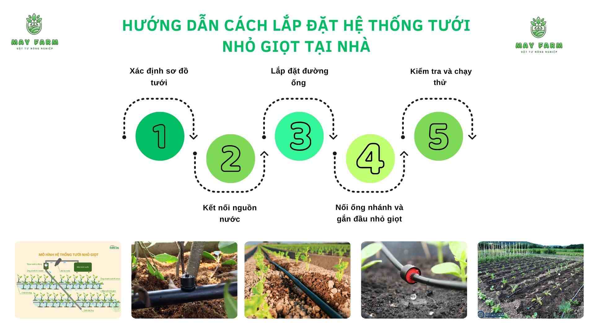 Hướng dẫn cách lắp đặt hệ thống tưới nhỏ giọt tại nhà