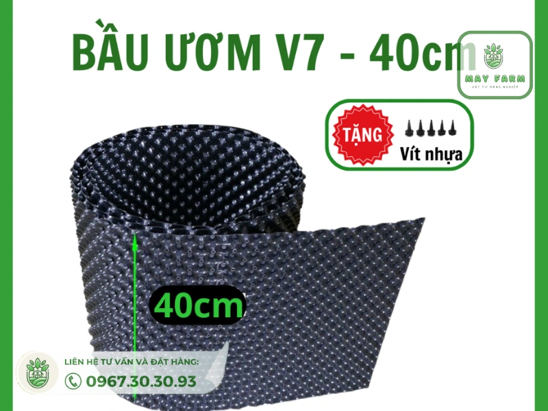 những đặc điểm của bầu ươm cây v7 40cm