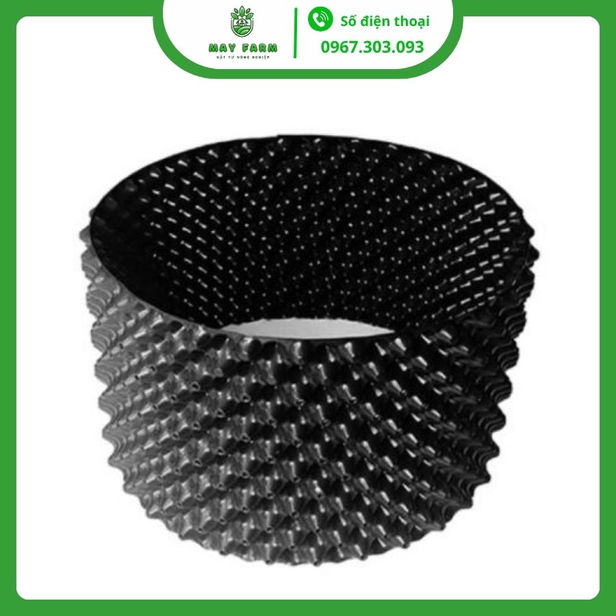 Bầu ươm cây công trình đủ kích thước, giá tốt