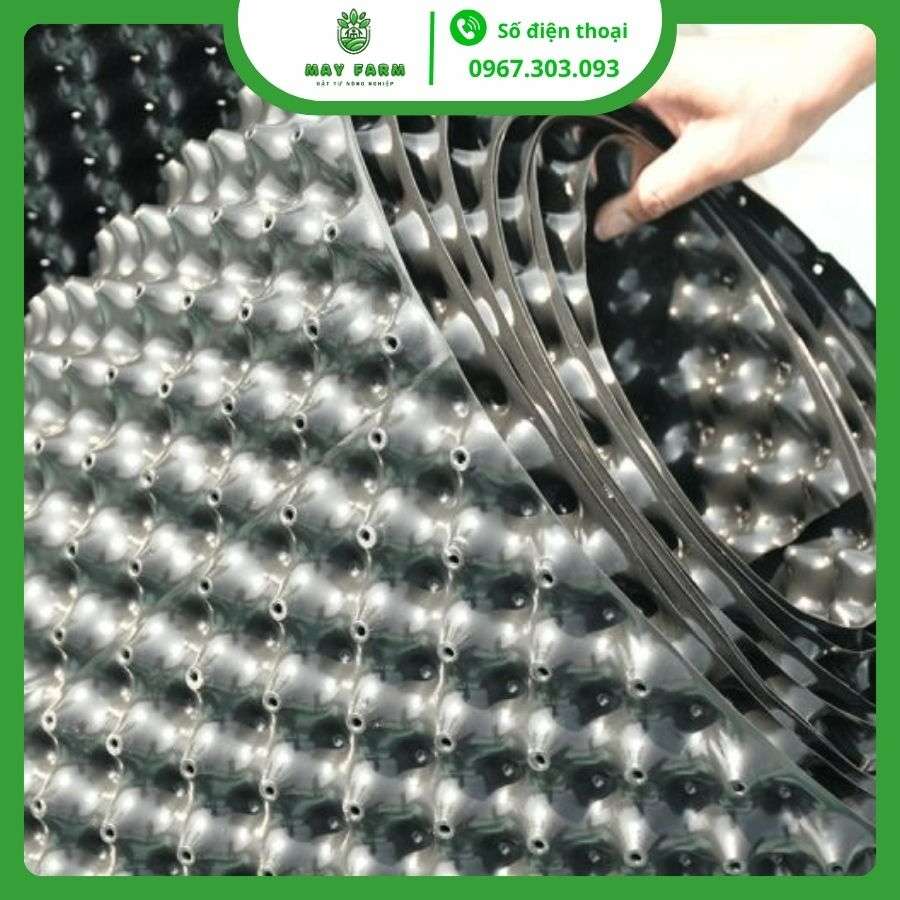 Bầu ươm mai v6 50cm - giải pháp cho vườn mai tươi tốt