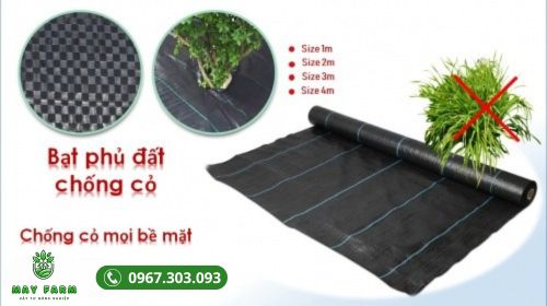 Bạt phủ chống cỏ - Ngăn chặn cỏ dại hiệu quả
