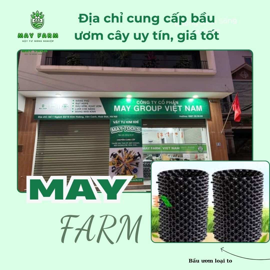 Địa chỉ cung cấp bầu ươm cây uy tín, giá tốt