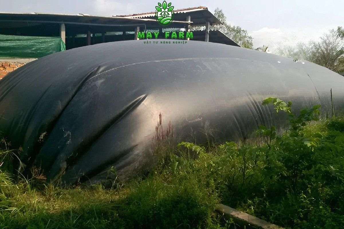 Hầm biogas trong chăn nuôi HDPE