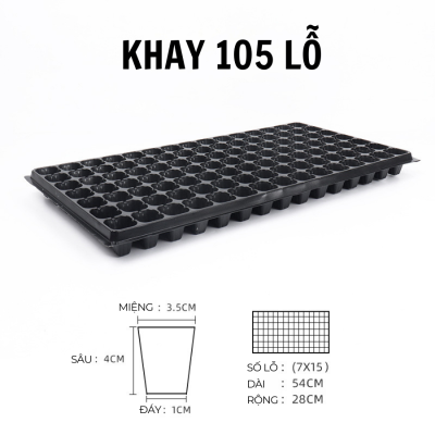 Dự án 100.000 khay ươm 105 lỗ 