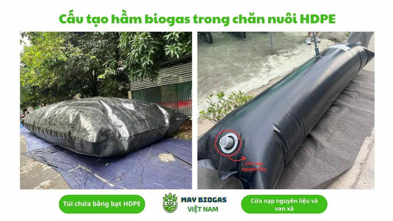 Cấu tạo hầm biogas trong chăn nuôi HDPE