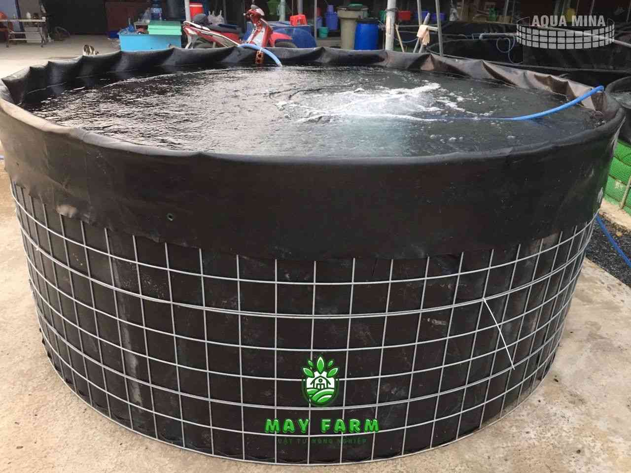 Các loại bể bạt nuôi cá phổ biến hiện nay
