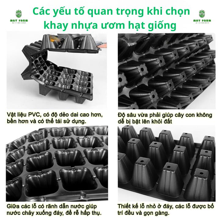  Các yếu tố quan trọng khi chọn khay nhựa ươm hạt giống