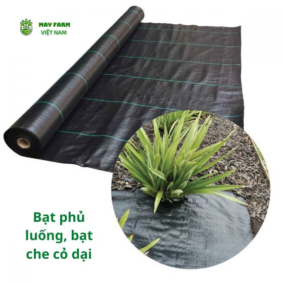 Bạt phủ luống, bạt che cỏ dại