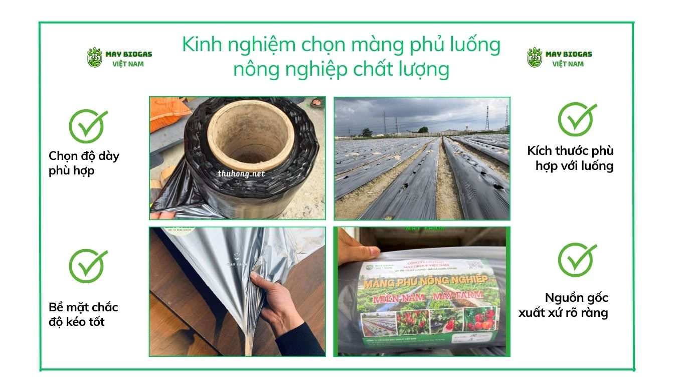 Kinh nghiệm chọn màng phủ luống nông nghiệp chất lượng