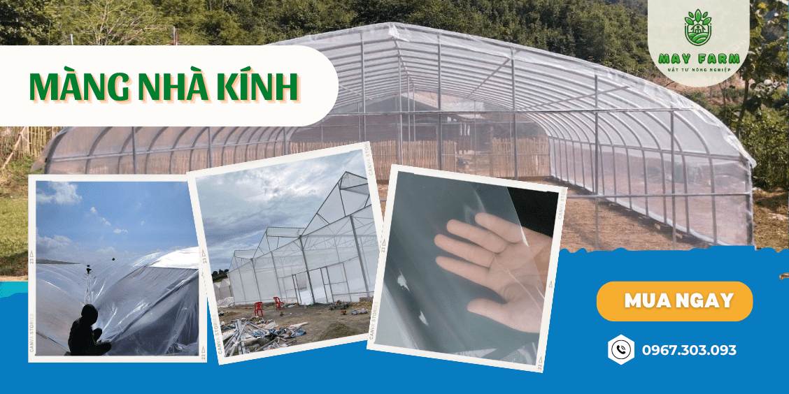 Màng nhà Kính tại May Farn
