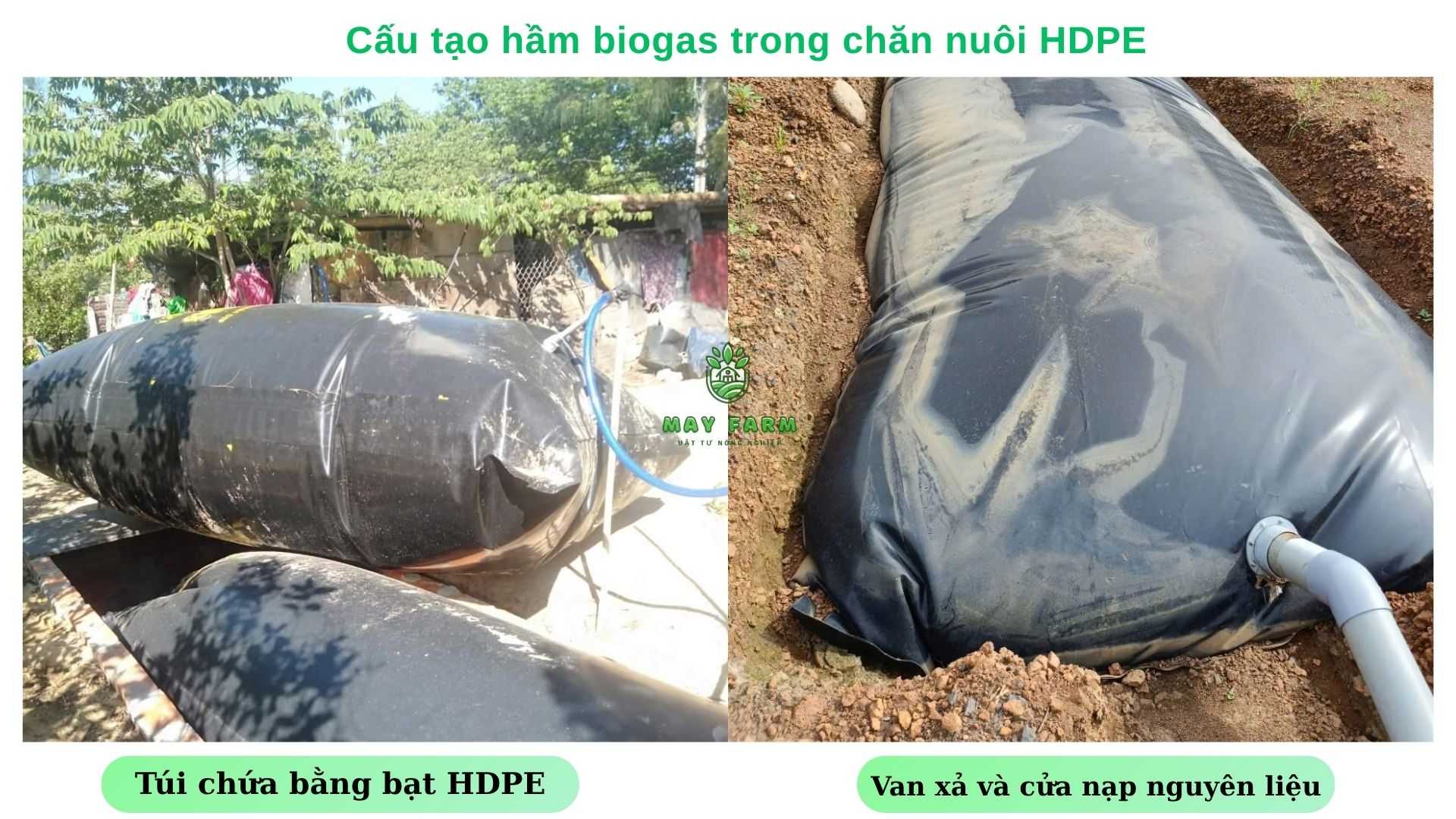  Cấu tạo hầm biogas trong chăn nuôi HDPE