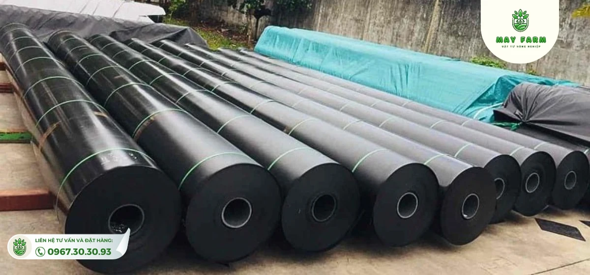 Thi công bạt chống thấm HDPE