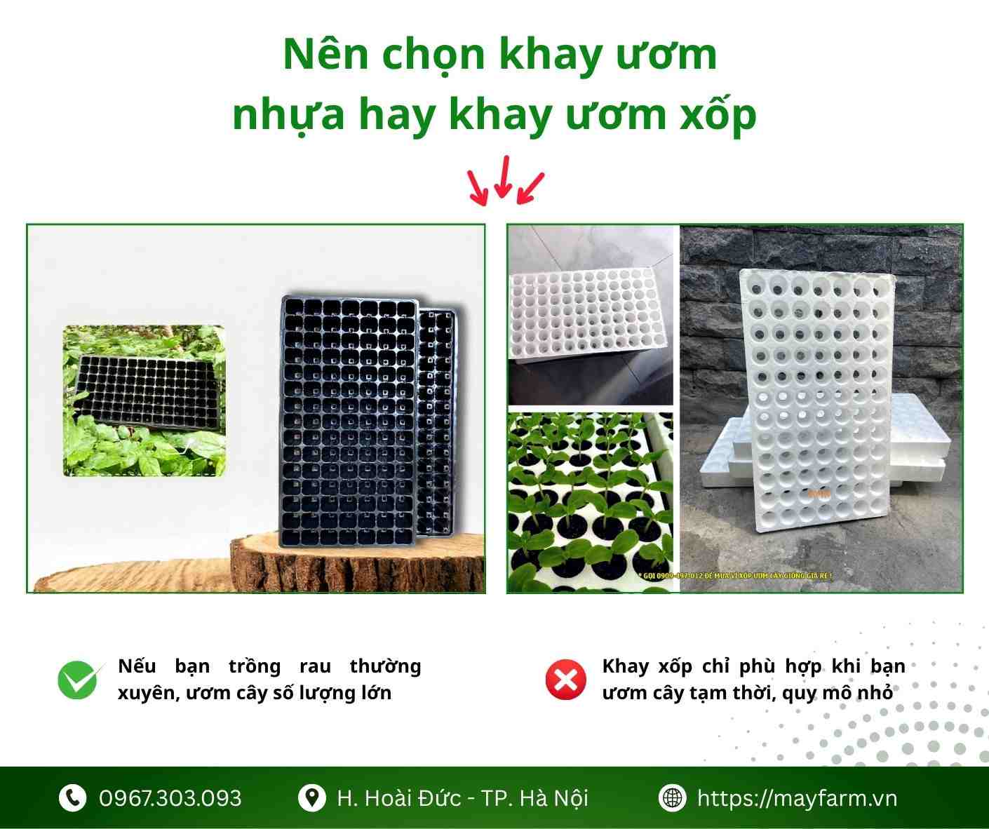  Nên chọn khay ươm nhựa hay khay ươm xốp