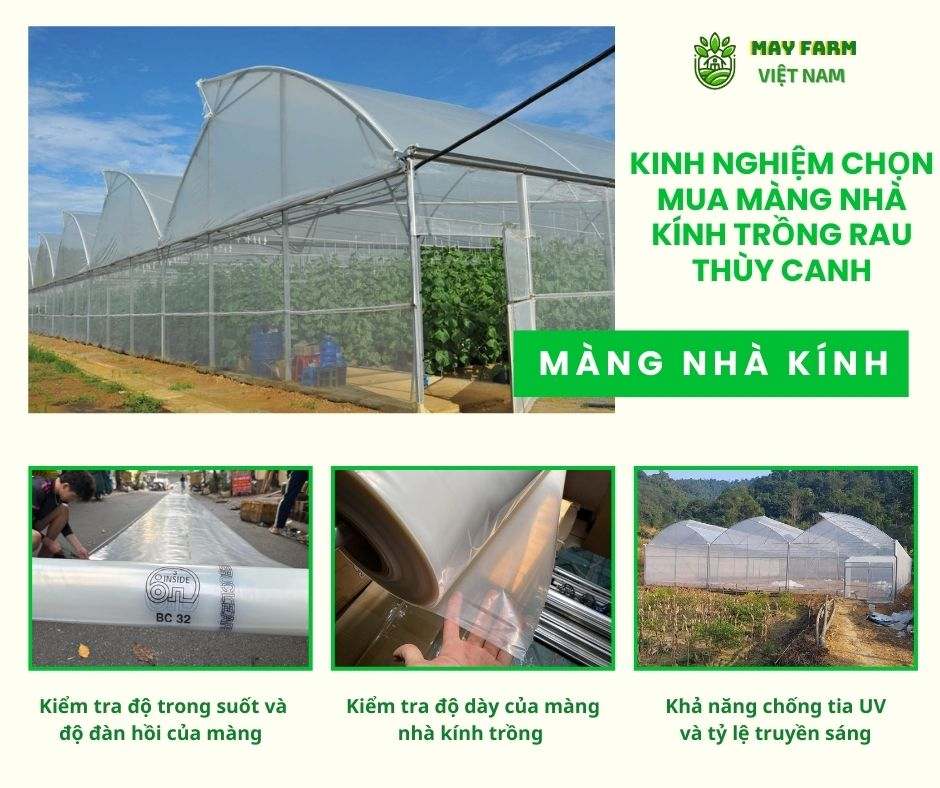 Kinh nghiệm chọn mua màng nhà kính trồng rau thùy canh