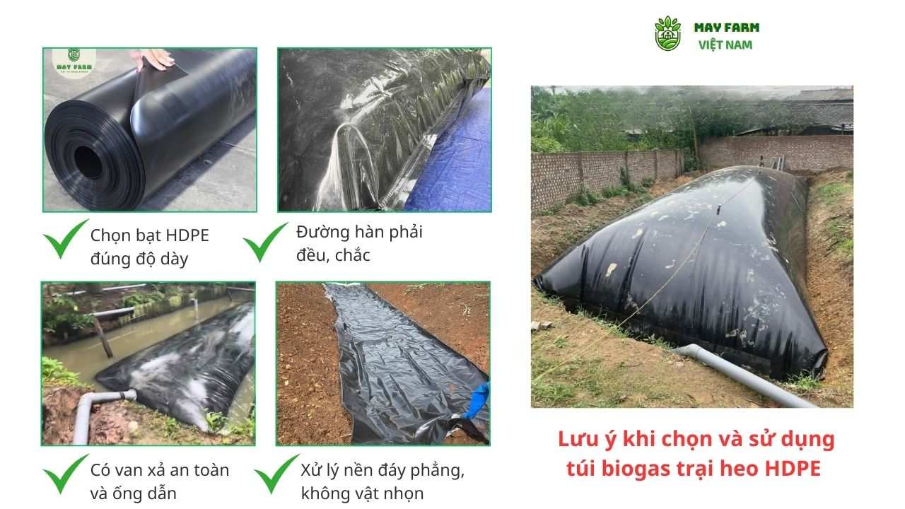 Lưu ý khi chọn và sử dụng túi biogas trại heo HDPE 