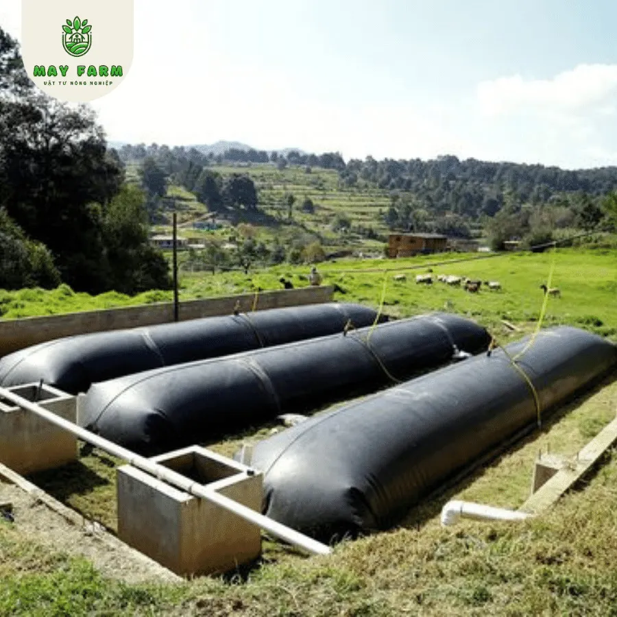 giá bạt biogas được nhiều người quan tâm khi mua sản phẩm
