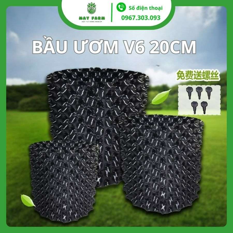 Bầu ươm V6 20cm giá tốt tại May Farm