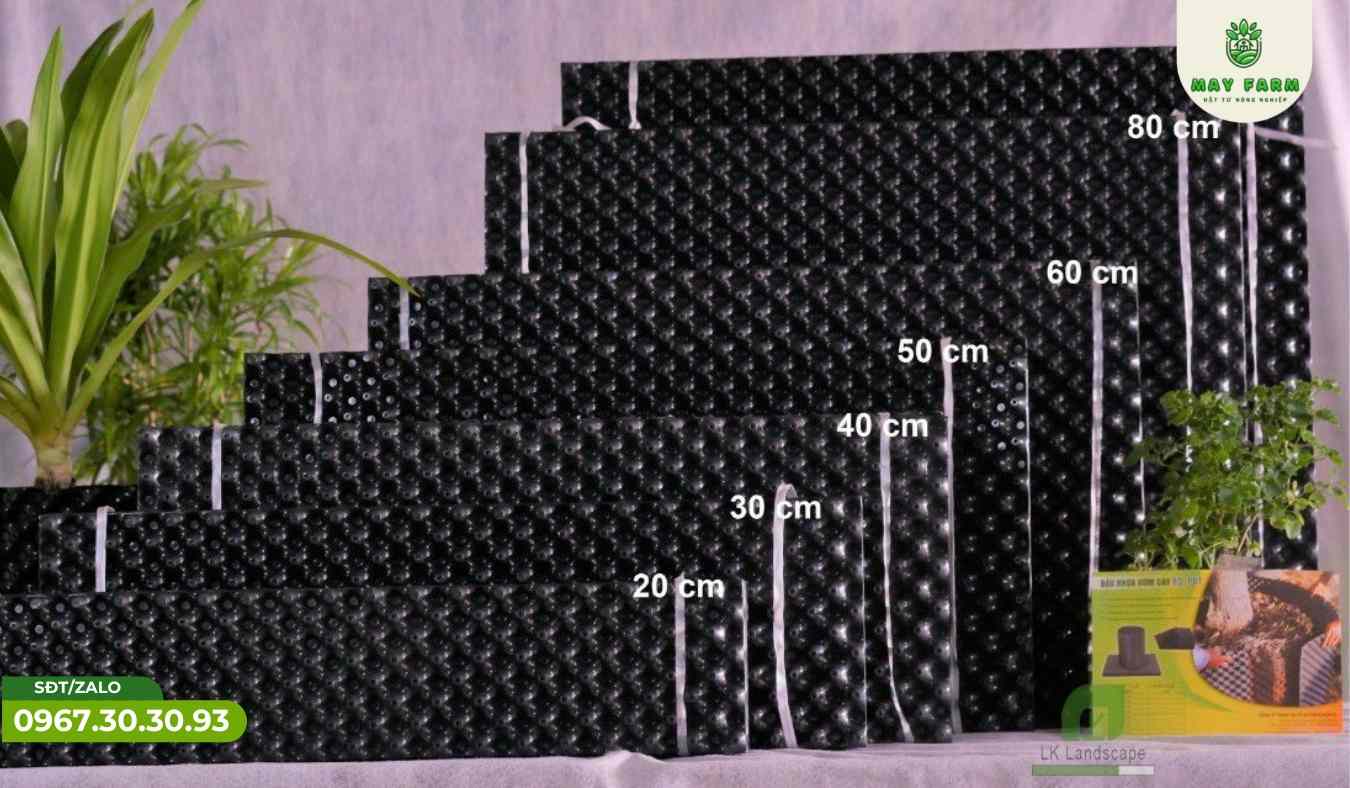 Lợi ích của bầu ươm cây V6