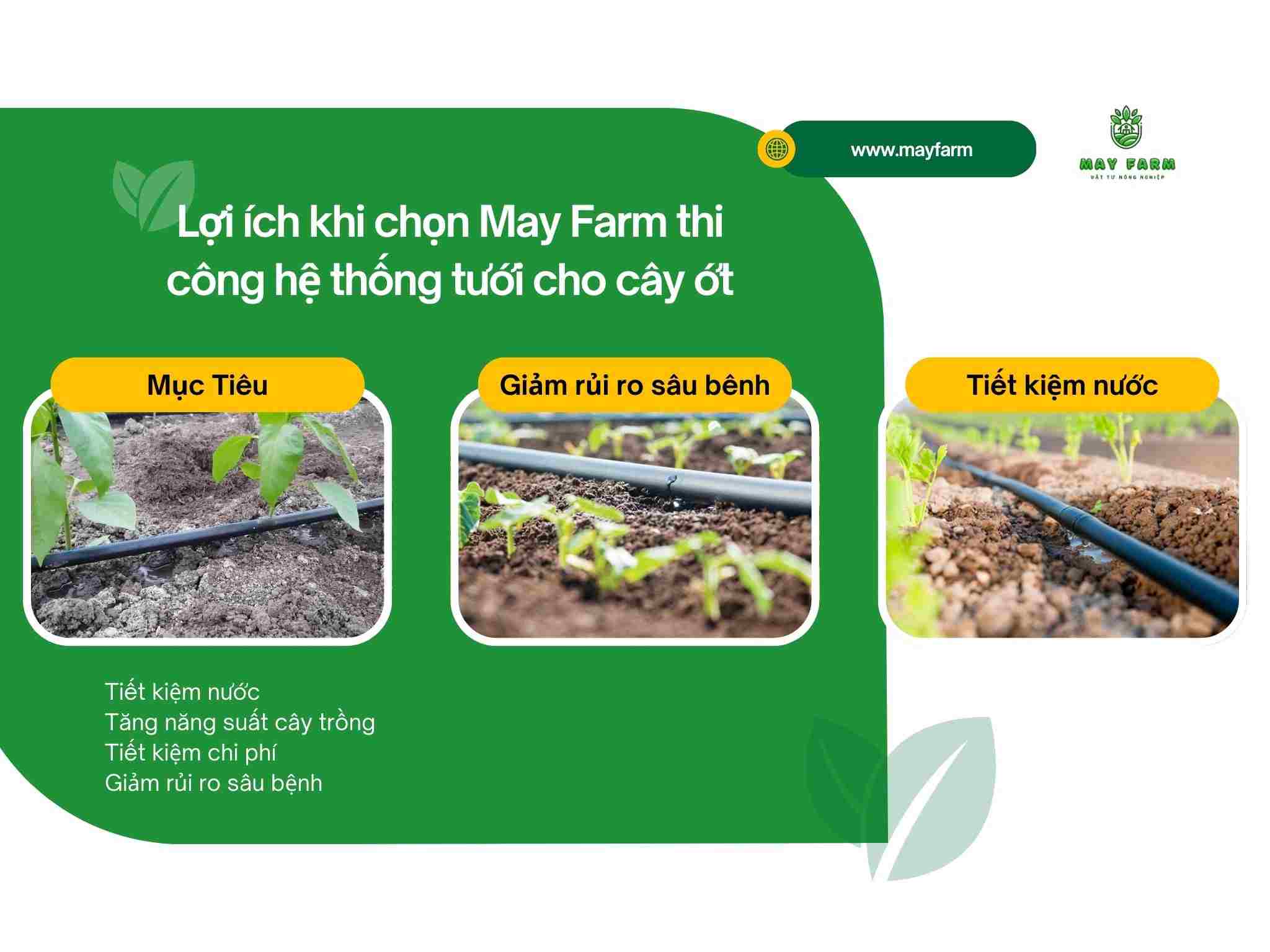 Lợi ích khi chọn May Farm thi công hệ thống tưới cho cây ớt