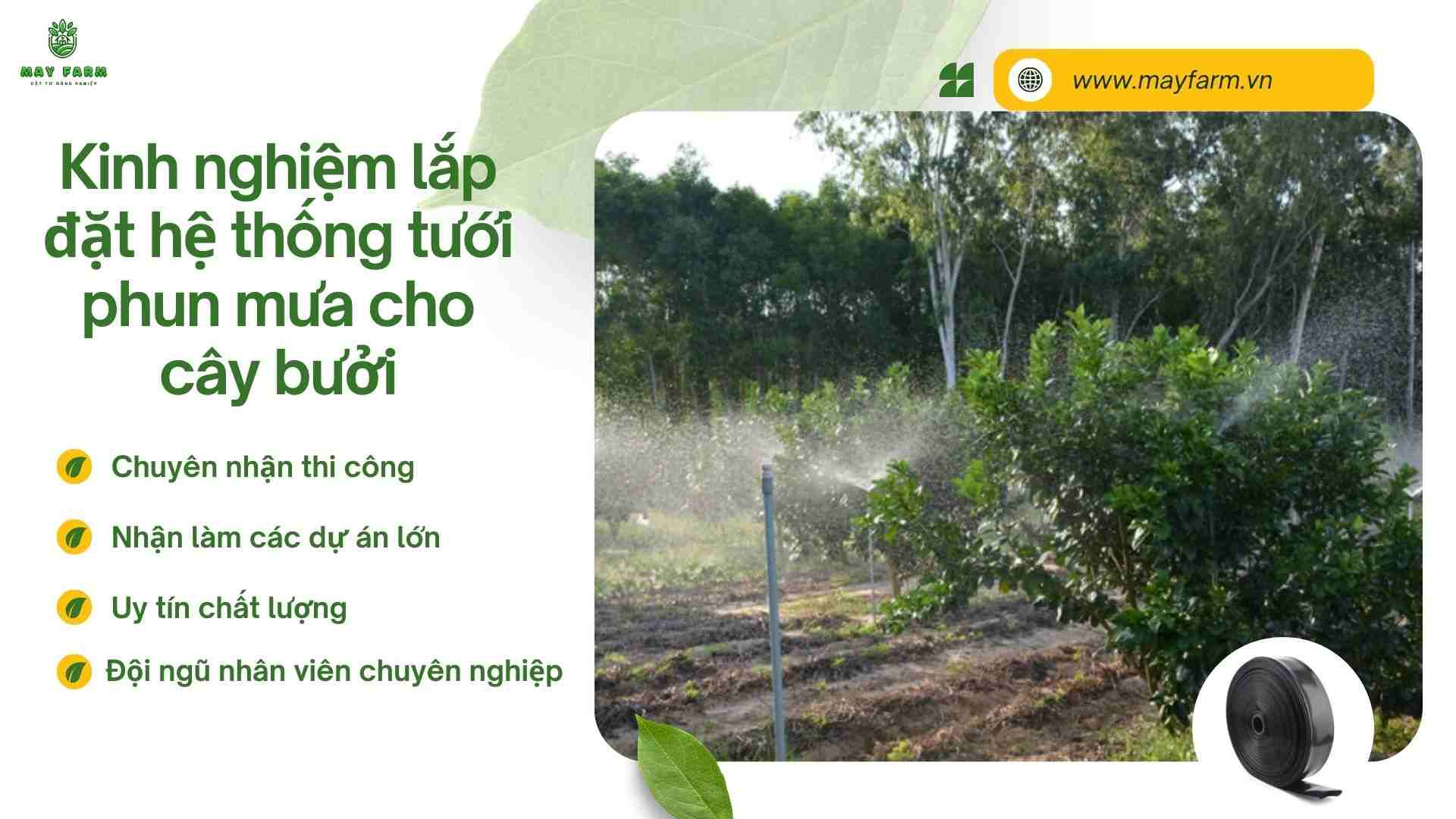 Kinh nghiệm lắp đặt hệ thống tưới phun mưa cho cây bưởi