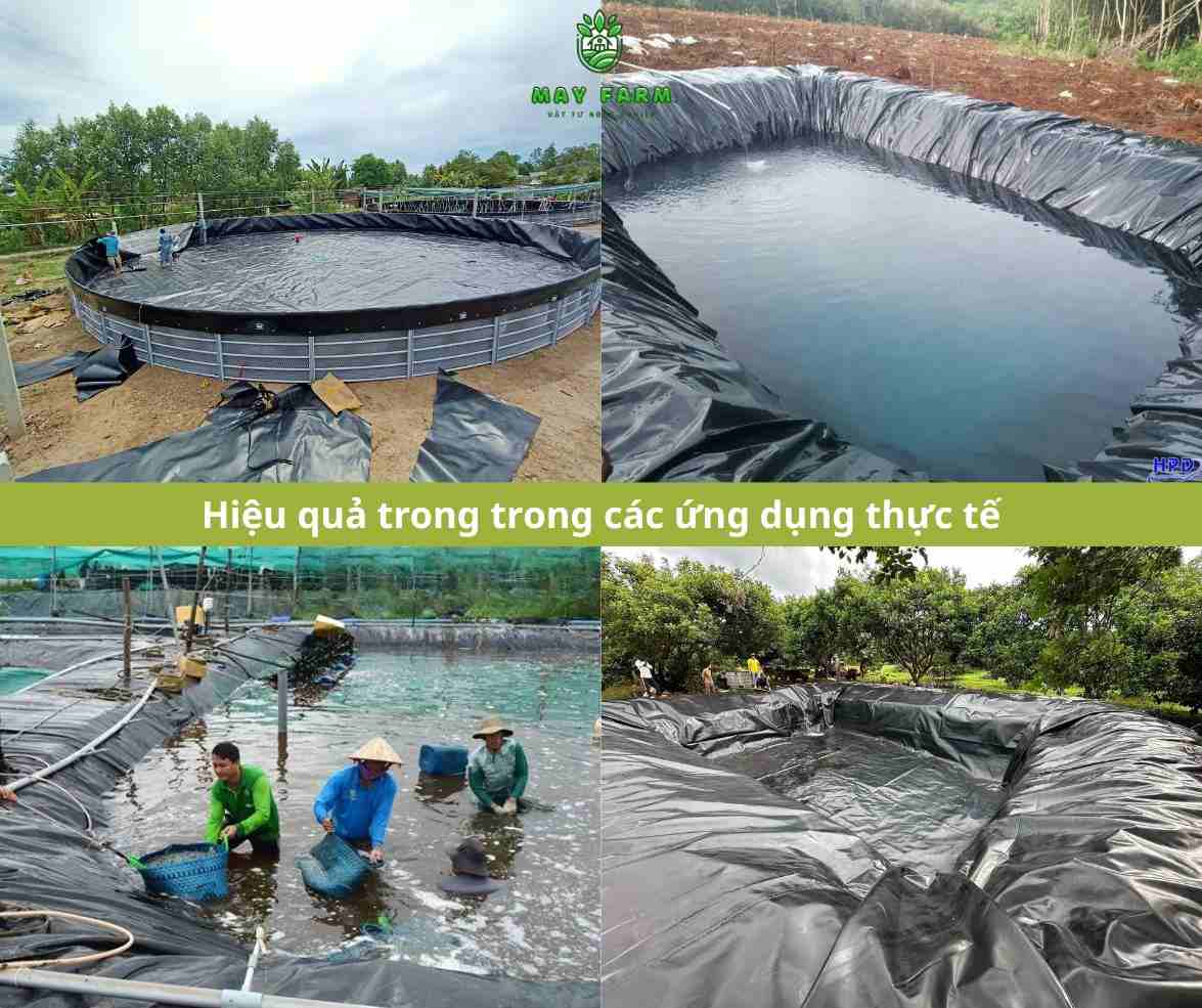 Màng HDPE nhập khẩu - Hiệu quả trong trong các ứng dụng thực tế