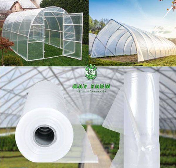 Màng phủ nhà kính là gì?