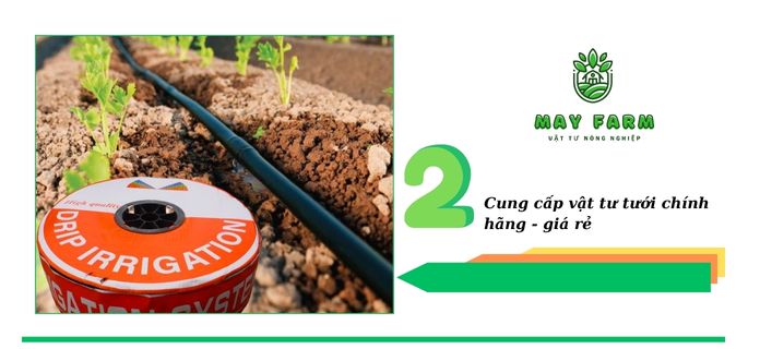 Thi công hệ thống tưới cho cây trồng - Cung cấp vật tư tưới chính hãng 