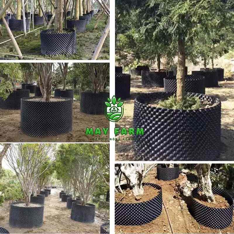 Khi nào nên sử dụng bầu ươm cây thông minh