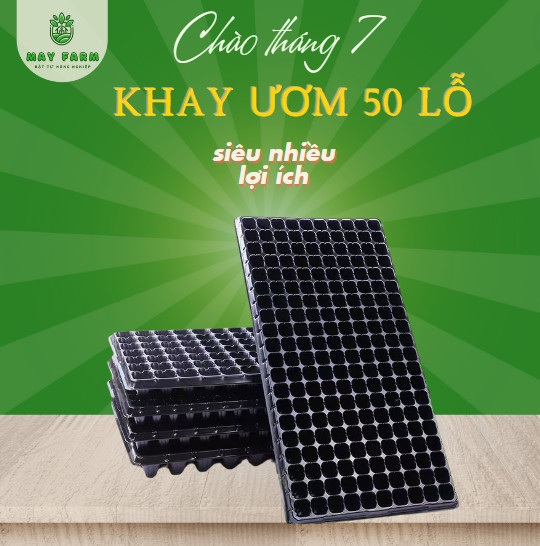 Khay xốp ươm cây 50 lỗ giải pháp tối ưu cho nhà vườn