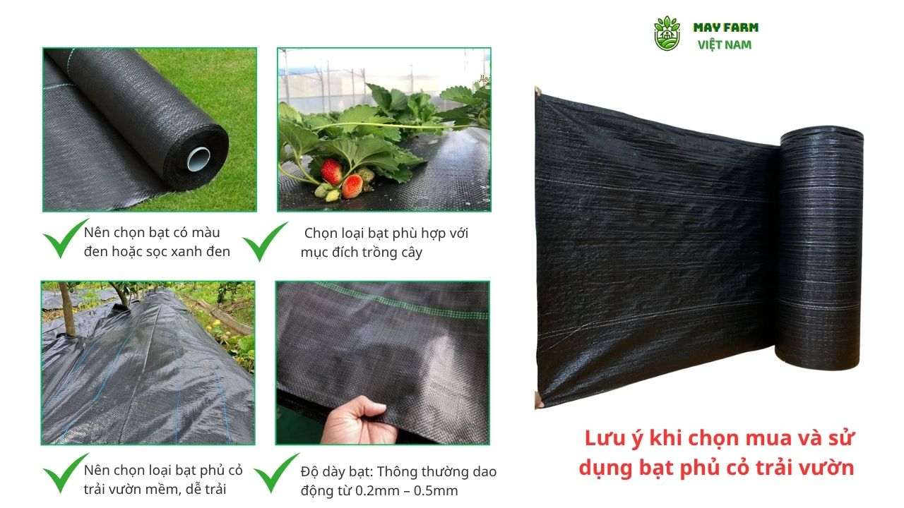 Lưu ý khi chọn mua và sử dụng bạt phủ cỏ trải vườn