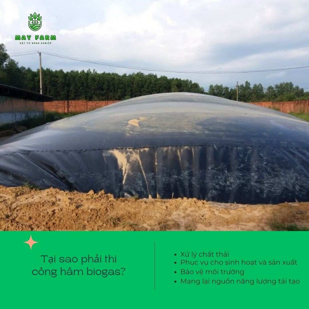 Thi công hầm biogas