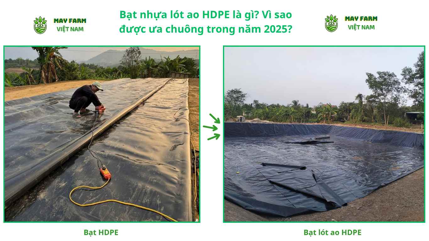 Bạt nhựa lót ao HDPE là gì? Vì sao được ưa chuông trong năm 2025?