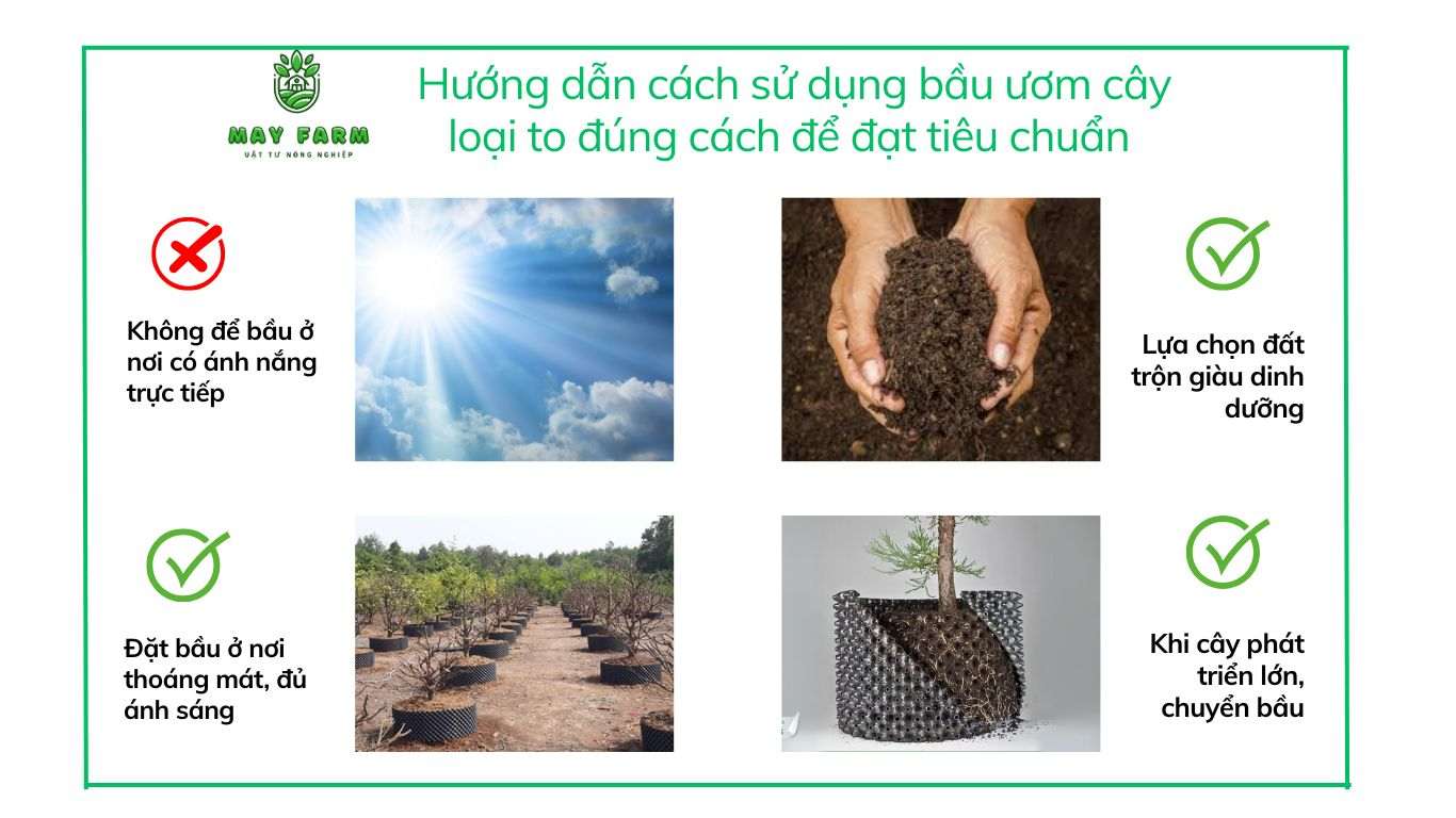Hướng dẫn cách sử dụng bầu ươm cây loại to đúng cách để đạt tiêu chuẩn 