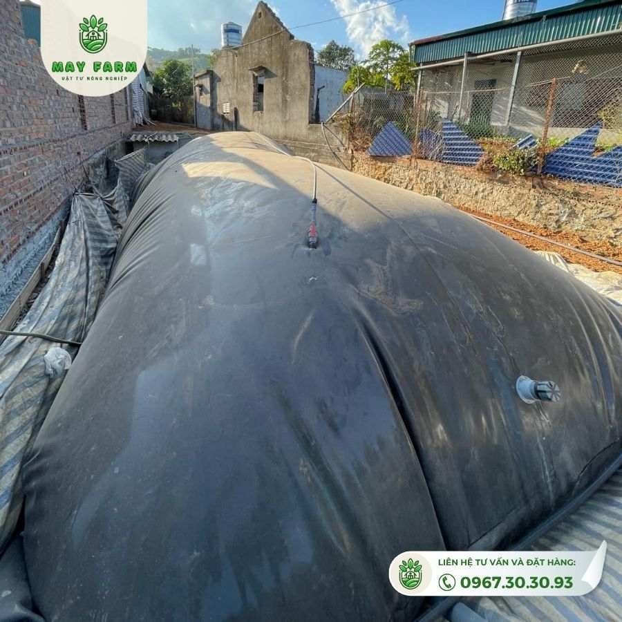 Hầm biogas HDPE
