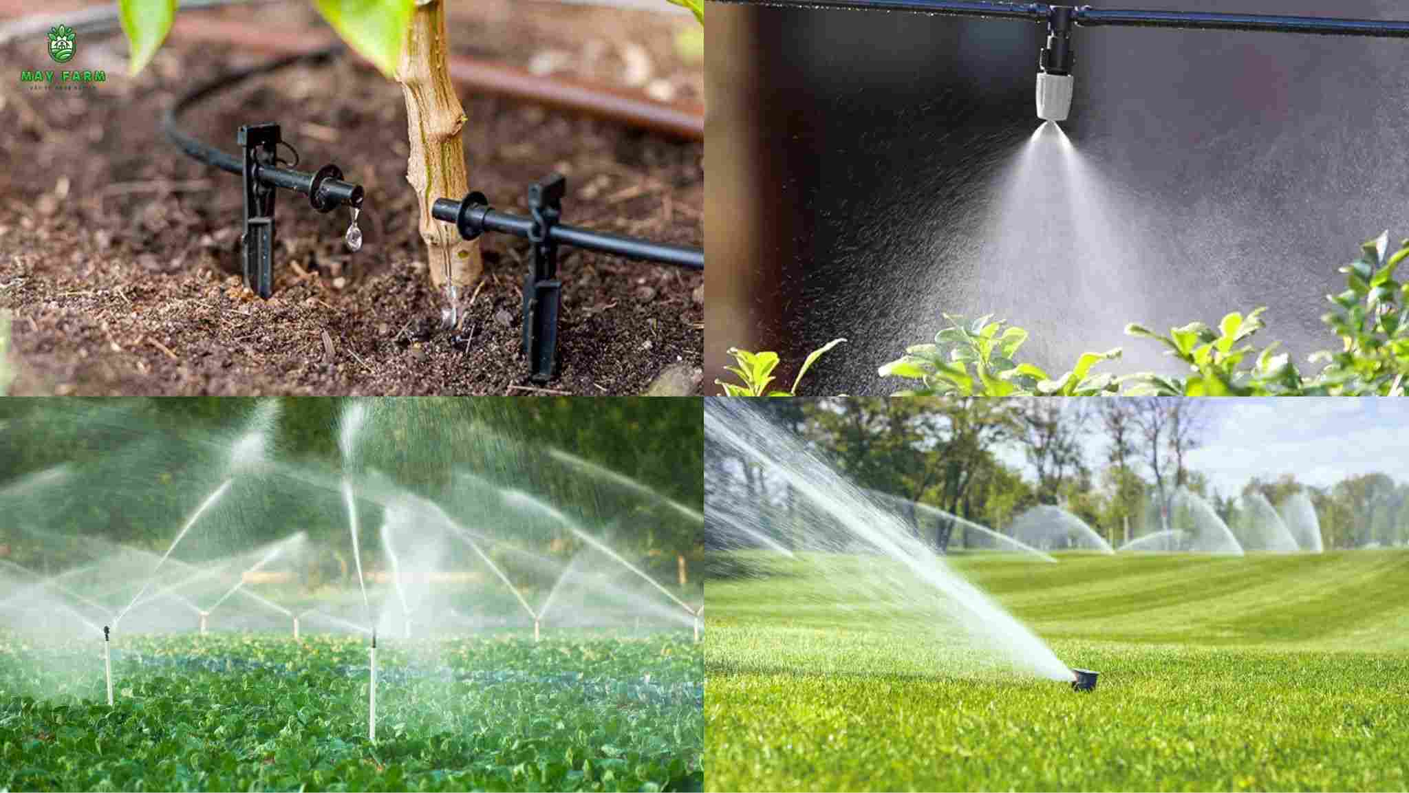 Kiểm tra định kỳ cho hệ thống tưới tự động