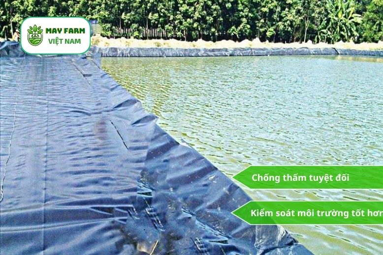 Ưu điểm khi sử dụng bạt nhựa HDPE nguyên sinh cho hồ nuôi