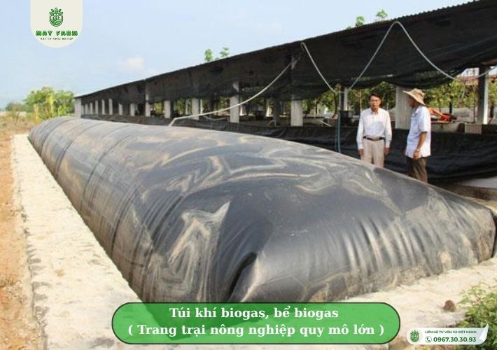 Những loại túi khí biogas, bể biogas bằng bạt HDPE phổ biến hiện nay