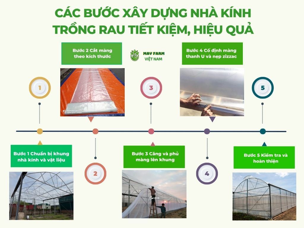 Các bước xây dựng nhà kính trồng rau tiết kiệm, hiệu quả