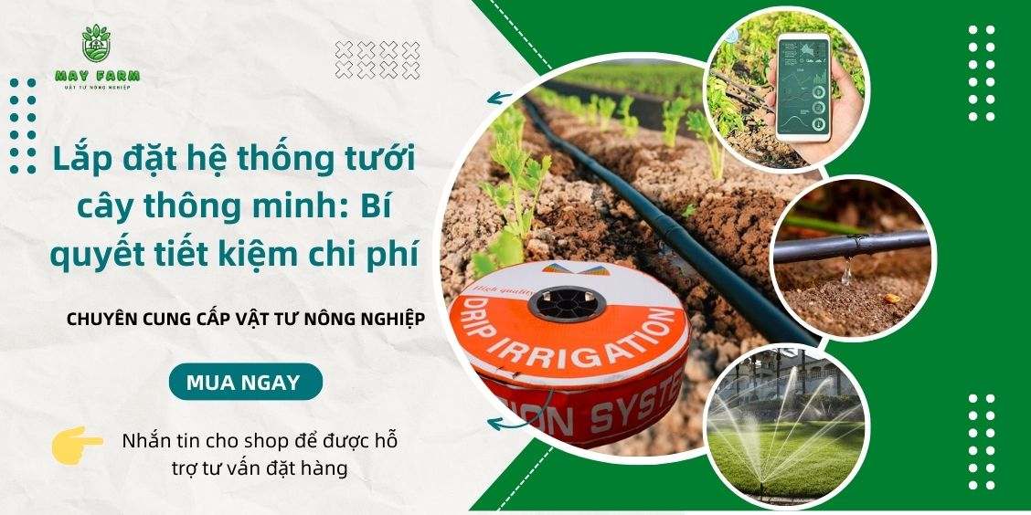 Lắp đặt hệ thống tưới cây thông minh: Bí quyết tiết kiệm chi phí