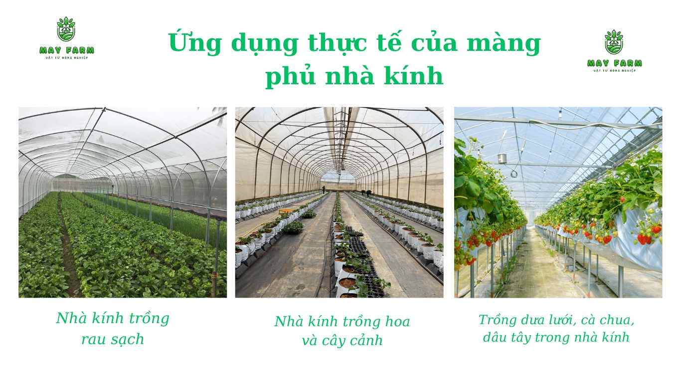 Ứng dụng thực tế của màng phủ nhà kính