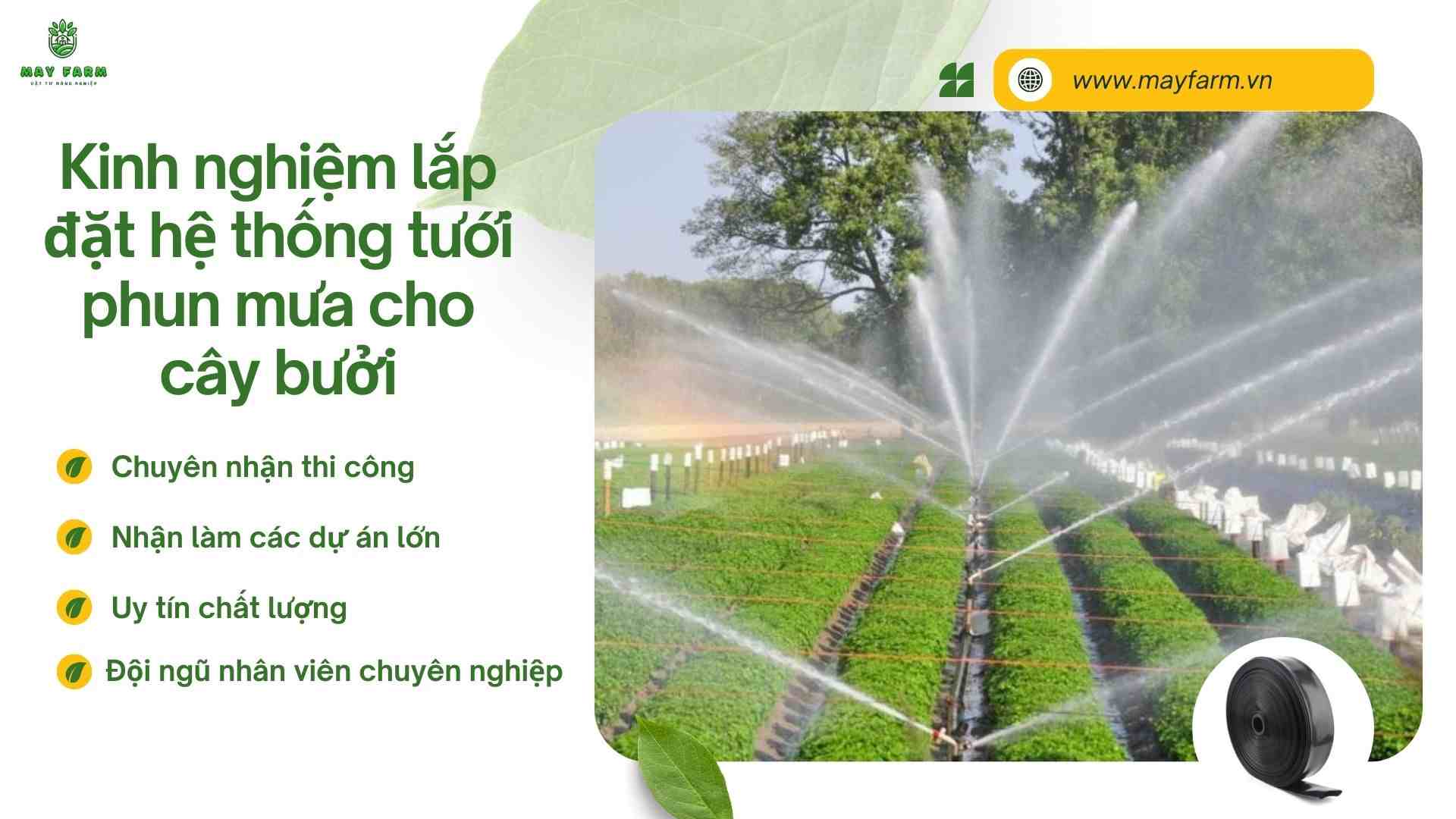 Kinh nghiệm lắp đặt hệ thống tưới phun mưa cho cây bưởi
