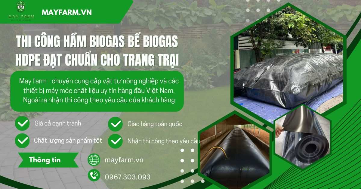 Thi công hầm biogas bể biogas HDPE đạt chuẩn cho trang trại