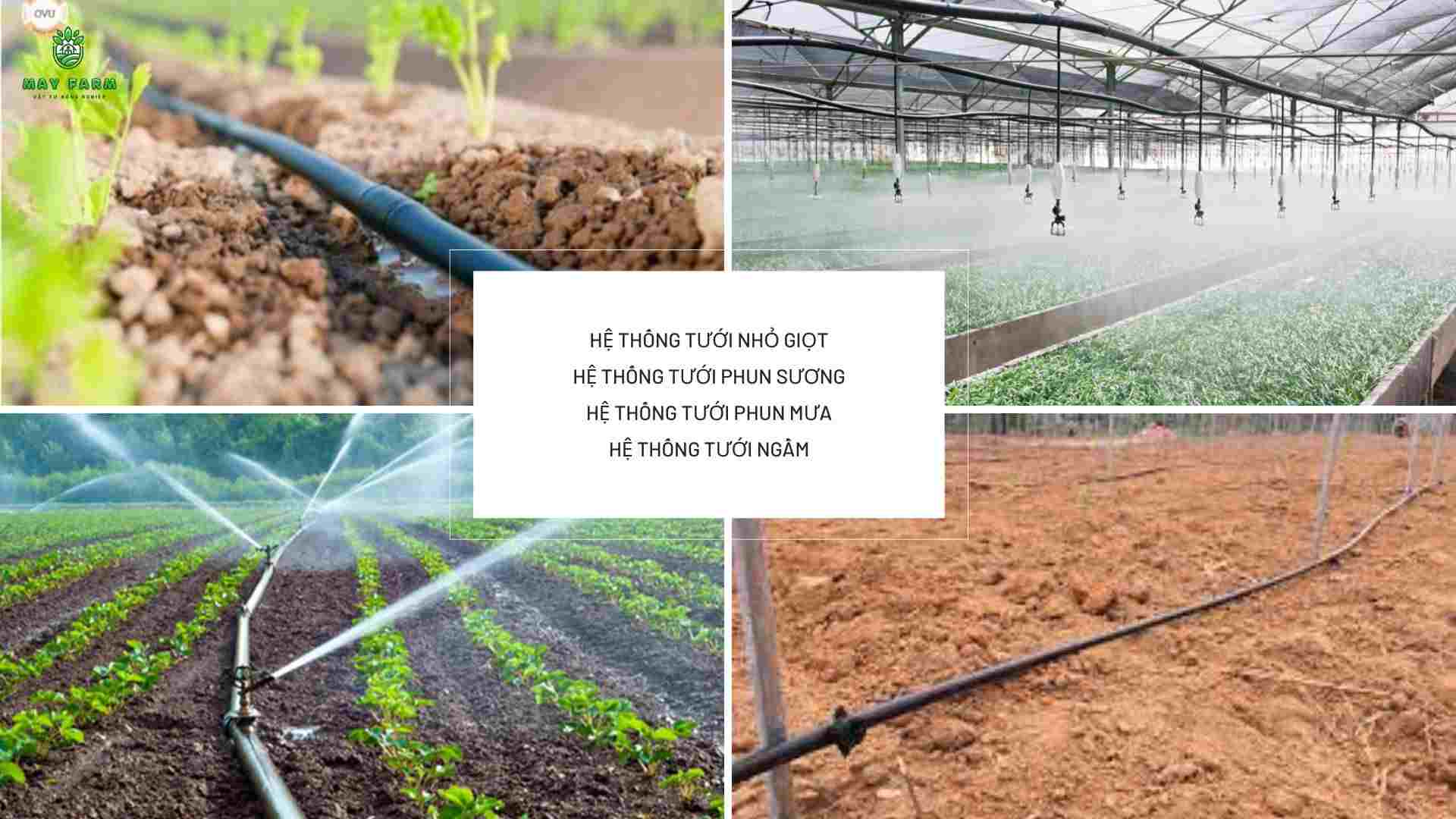 Các loại hệ thống tưới cây tự động phổ biến 