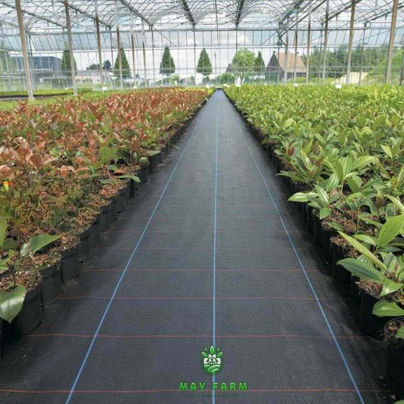 Ứng dụng của bạt phủ chống cỏ