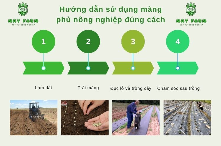 Hướng dẫn sử dụng màng phủ nông nghiệp đúng cách