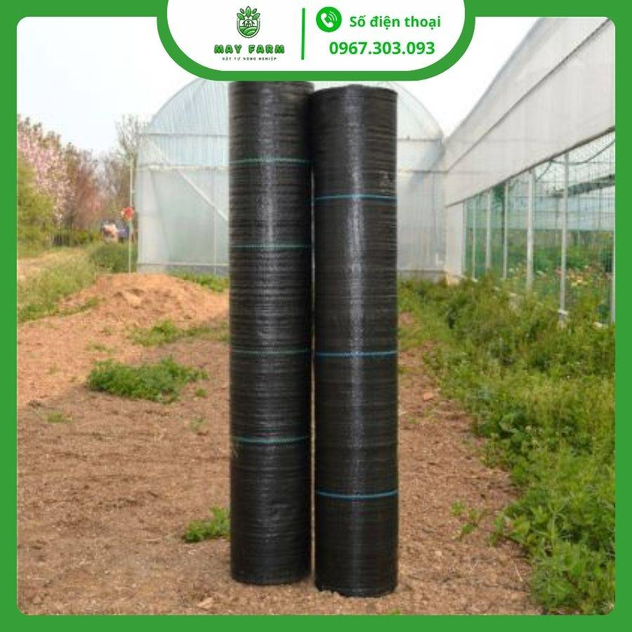 Bạt phủ chống cỏ 80g lẻ từ 1m nhiều kích thước, độ bền cao