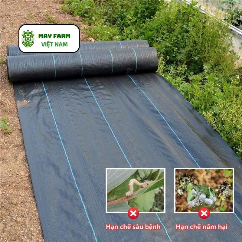 Kinh nghiệm thực tế từ nhà vườn sau khi sử dụng tấm phủ chống cỏ