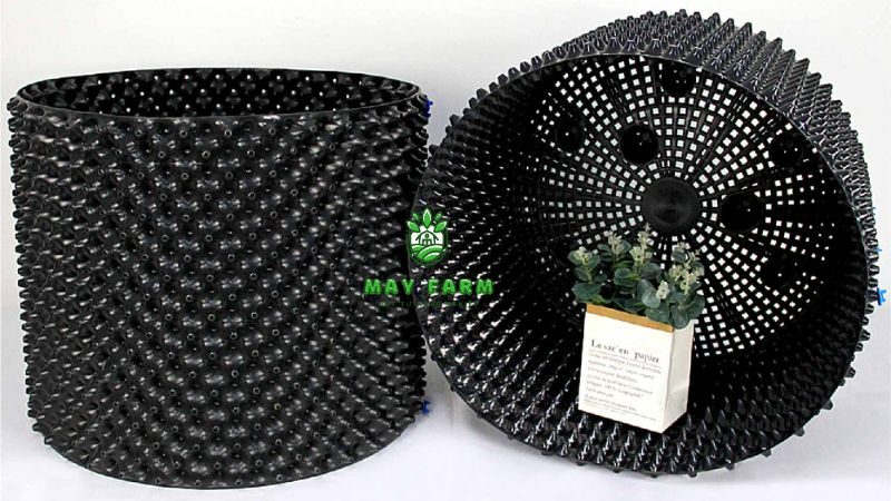 Kinh nghiệm chọn và dùng bầu ươm cây thông minh đúng cách chất lượng